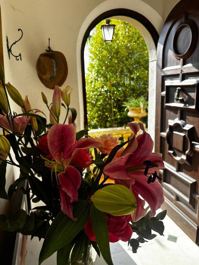 Villa Tricia Cannes in Cannes, Côte méditerranéenne (France)