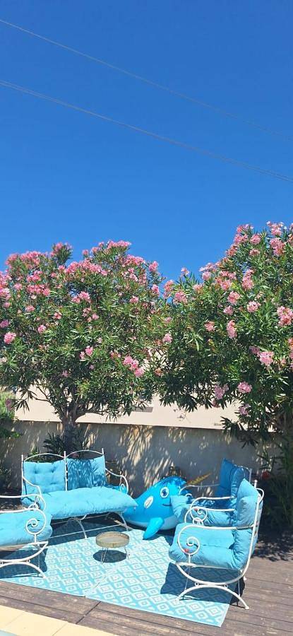 Location de vacances pour 4 personnes, avec piscine ainsi que vue et jardin à Vendémian - 4