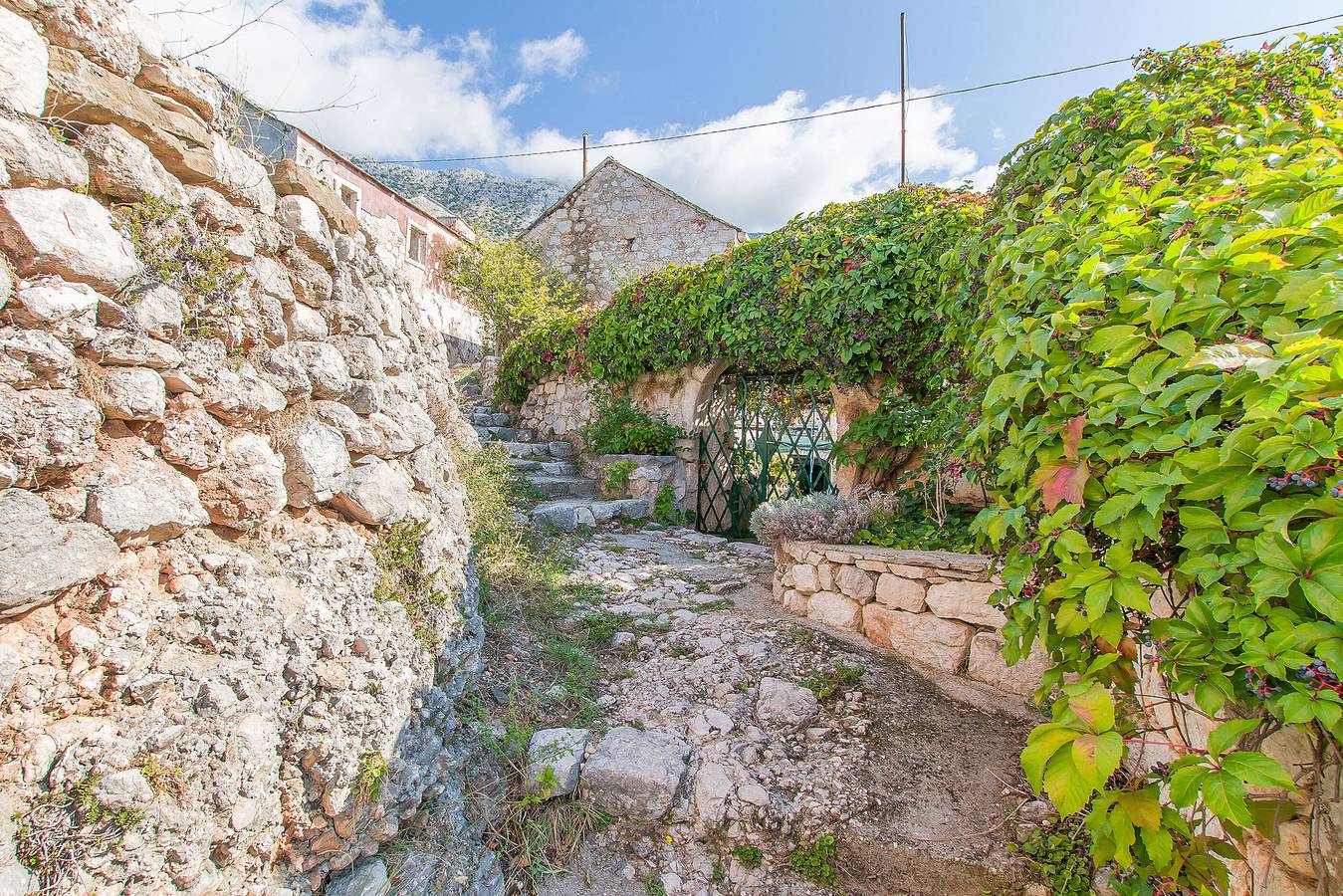 Ganzes Studio, Apartments Sonja in Igrane, Makarska Riviera
