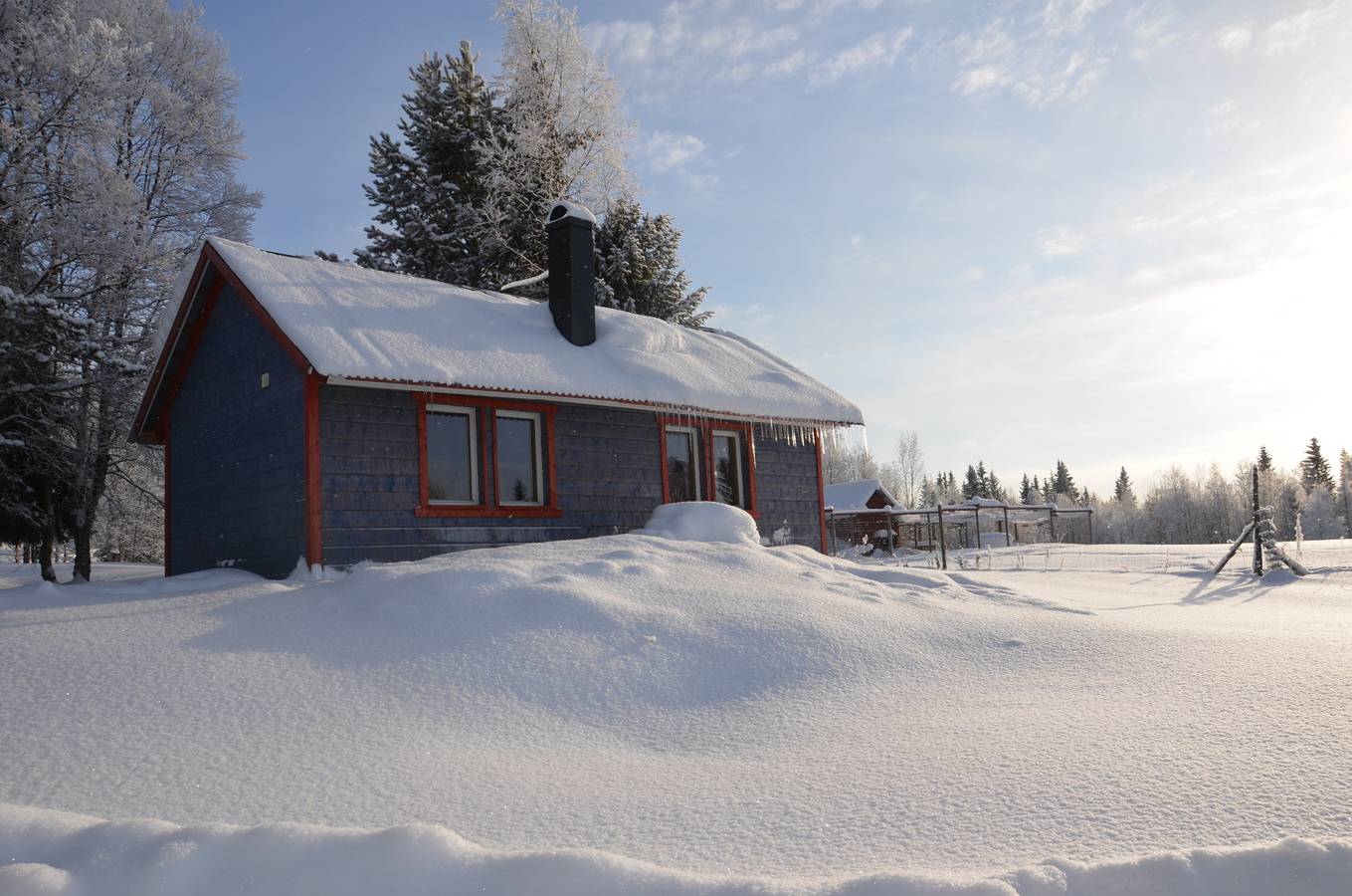 Urlaub auf einer Huskyfarm in der Wildnis von Jämtland in Jämtland