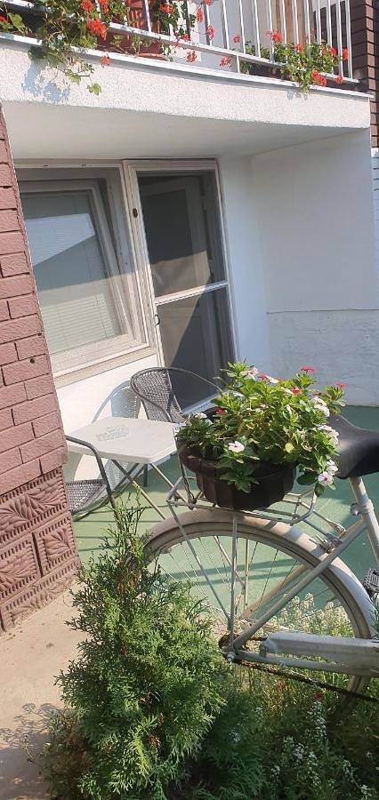 Chambre d’hôte pour 4 personnes, avec jardin ainsi que terrasse et vue dans Slavonie - 4