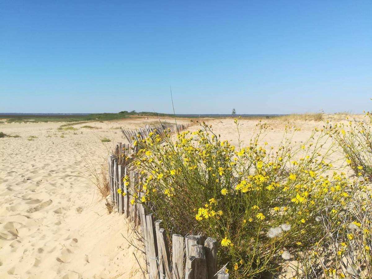 Mobil-Home 54 au Parc Résidentiel de la Plage - 4 personnes in Gujan-Mestras, Région d'Arcachon