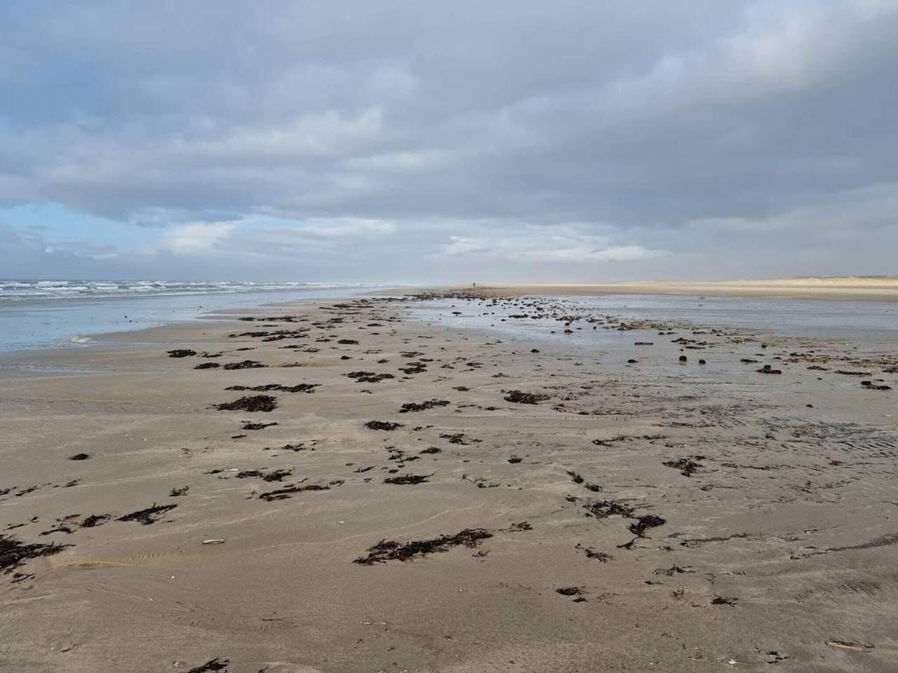 4 person holiday home in Fanø in Rindby, Fanø