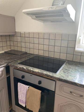 Gîte pour 8 personnes, avec vue et jardin dans Szentgotthard - 4