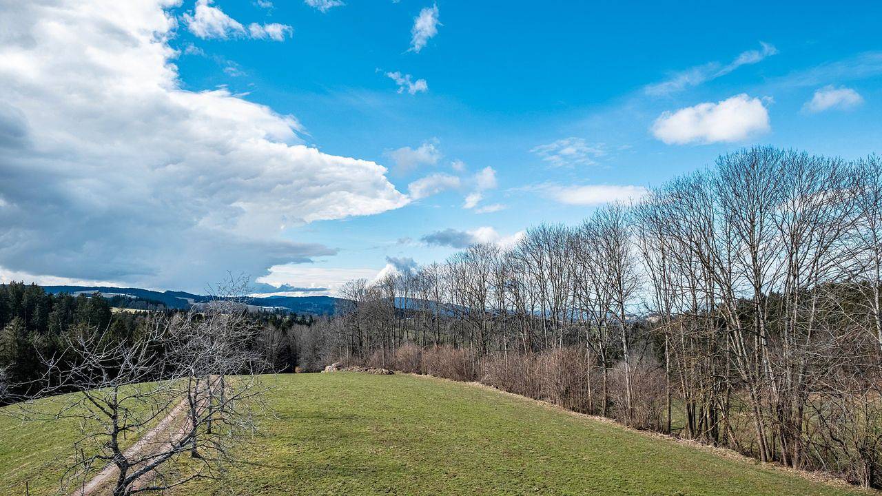 Ganze Ferienwohnung, Ferienwohnung für 5 Personen (60 m²) in Sankt Märgen in St. Märgen, Südschwarzwald