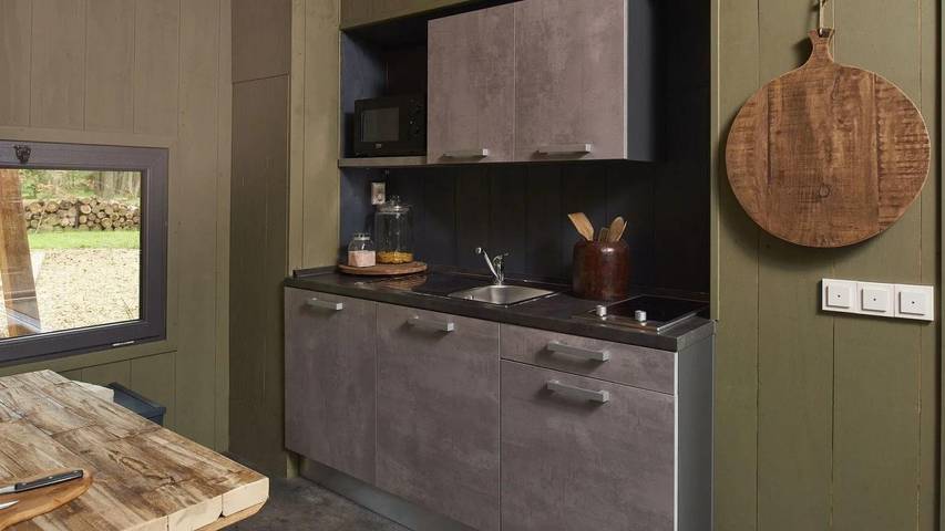 Europarcs De Zanding — Tiny House 4 in Hoge Veluwe