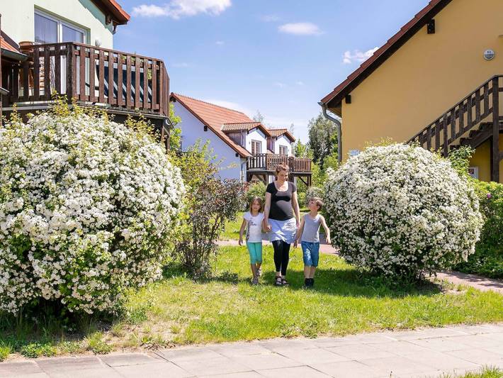 Ferienhaus für 4 Personen, mit Terrasse und Sauna in Röbel-Müritz - 2