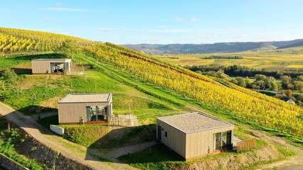 Ferienwohnung für 2 Personen, mit Ausblick und Balkon in Schweich an der Römischen Weinstraße
