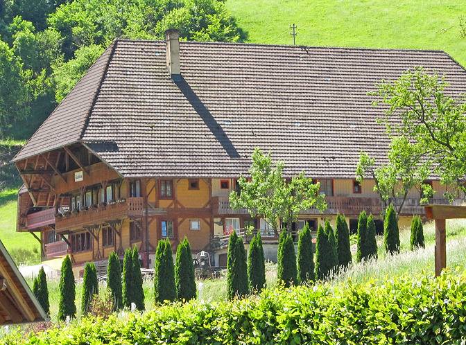 Pension pour 2 personnes, avec jardin, animaux acceptés dans Gutach