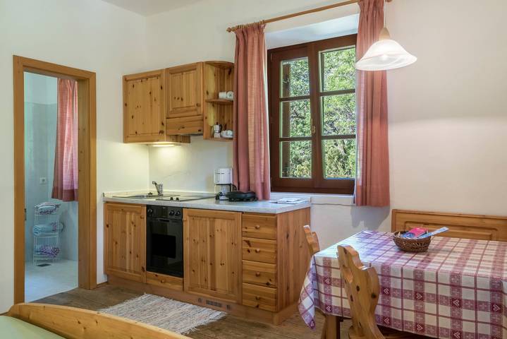 Entire studio, Holiday Studio 'Sallrain Hof Monolokal 4' with Shared Garden in Klobenstein, Ritten