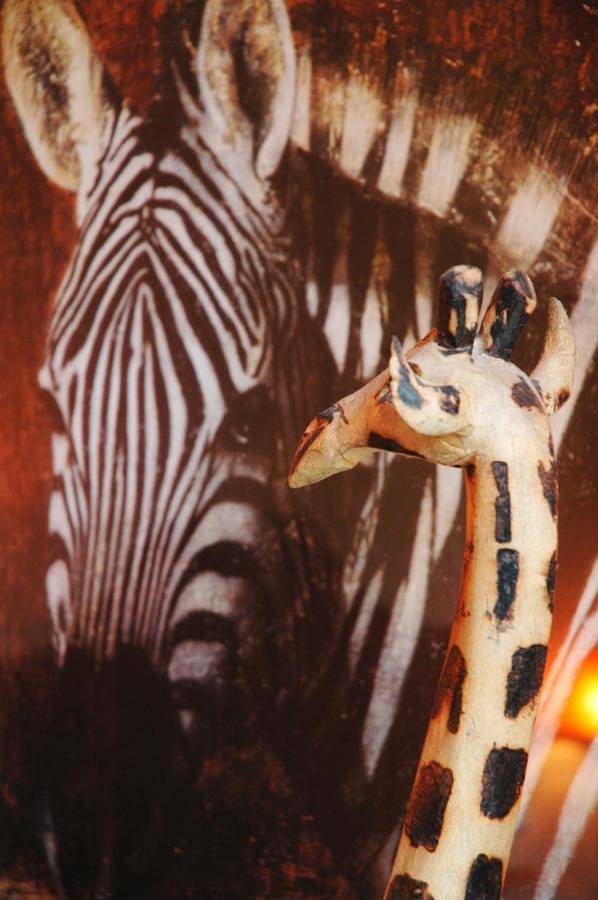 Chambre d’hôte pour 3 personnes, avec piscine et sauna ainsi que vue et jardin, animaux acceptés dans le Tarn-et-Garonne - 4