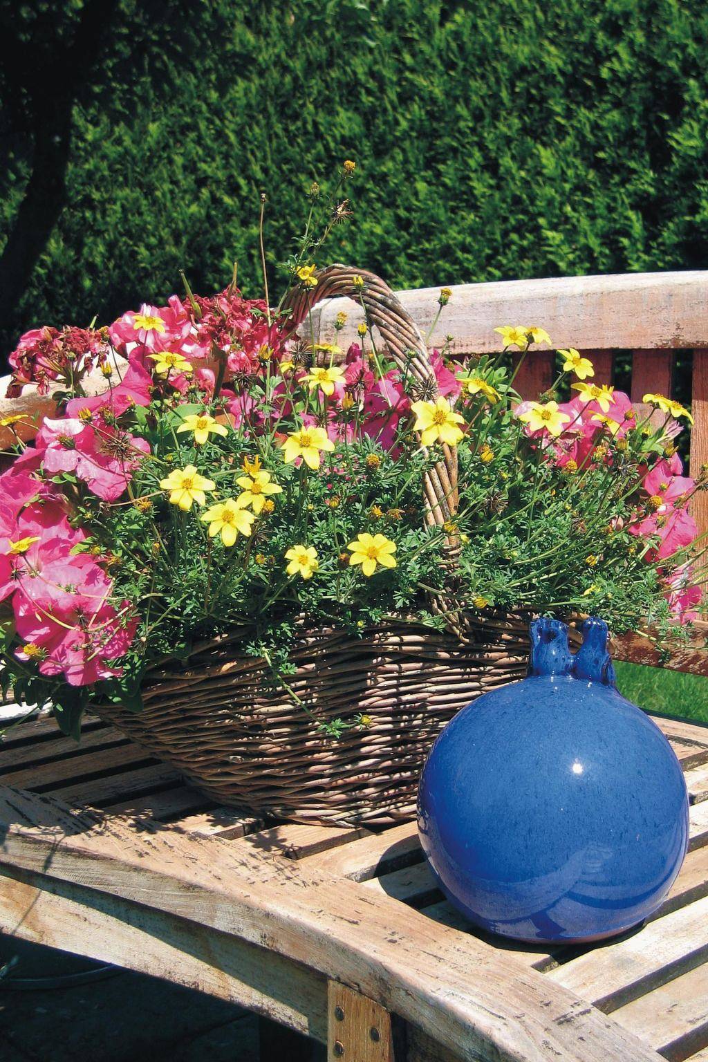 Ganze Wohnung, Langeiig in Wiesmoor, Nordseeküste