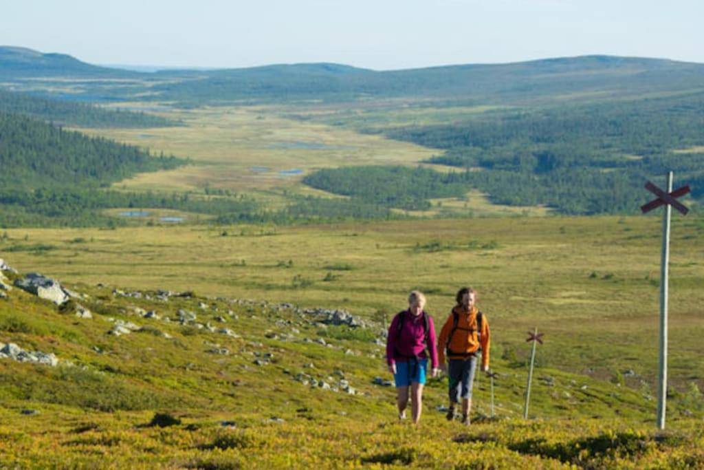 Ganze Wohnung, Björnrike Vemdalen. Mitt i backen in Vemdalen, Härjedalen