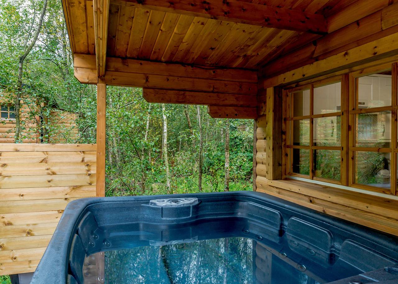 Hedgehog (Pet) in Alton Towers, Staffordshire