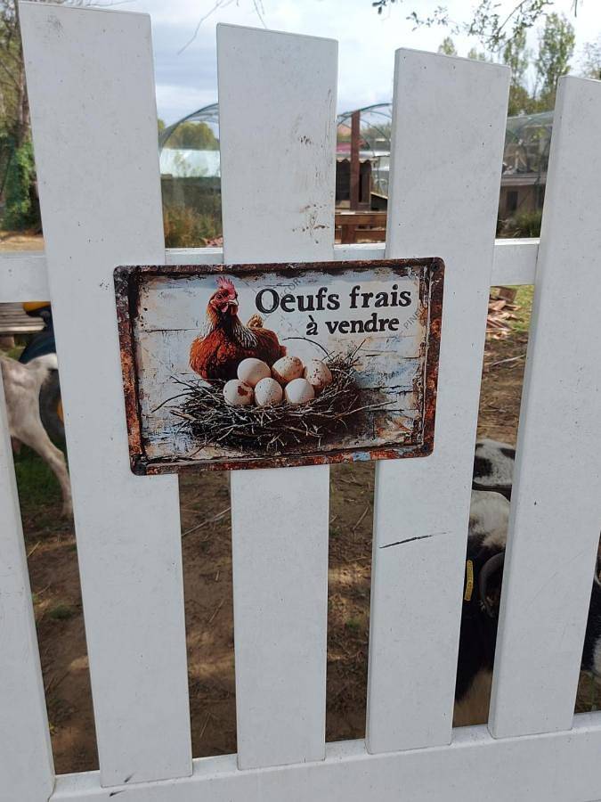 Maison de campagne pour 5 personnes, avec jacuzzi ainsi que terrasse et jardin à Castelnau-d'Auzan - 2