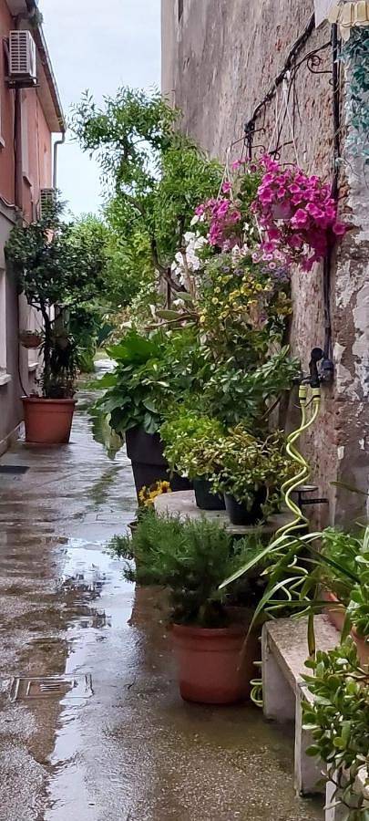 Appartamento per 4 persone, con animali domestici in Comacchio