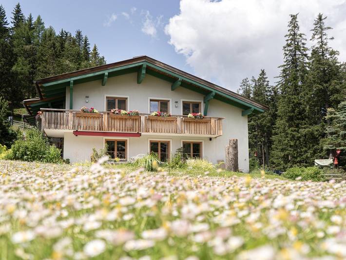 Ferienhaus für 12 Personen, mit Sauna und Garten, mit Haustier