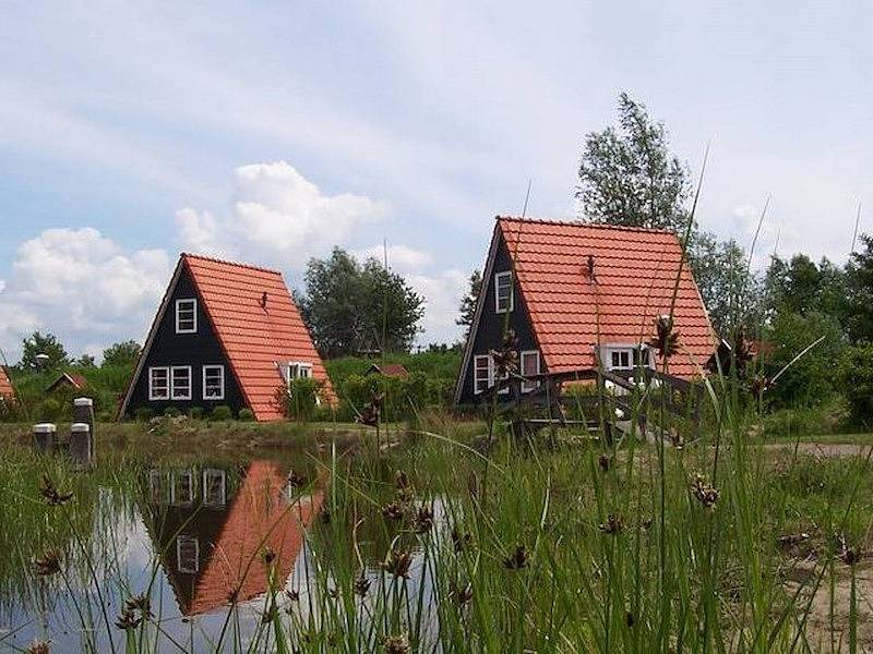 Vakantiefriesland — Holiday home Bant with fishing pond in Bant, IJsselmeer