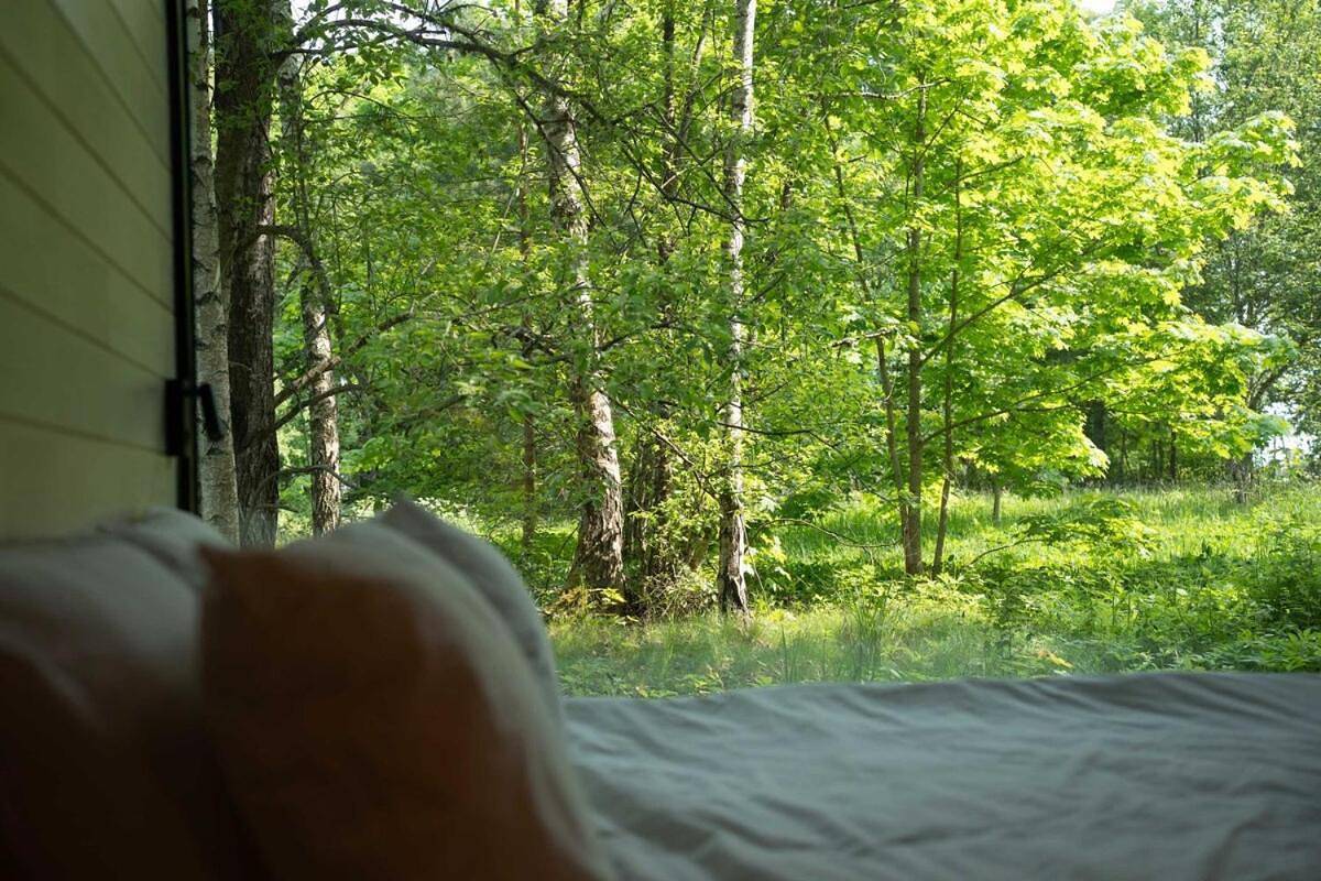 One-Bedroom House in Lahemaa National Park