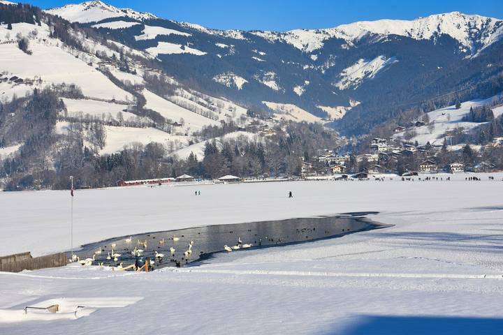 Geheel appartement, Vakantieappartement voor 4 personen met uitzicht op het meer in Zell am See (Stad), Zell am See