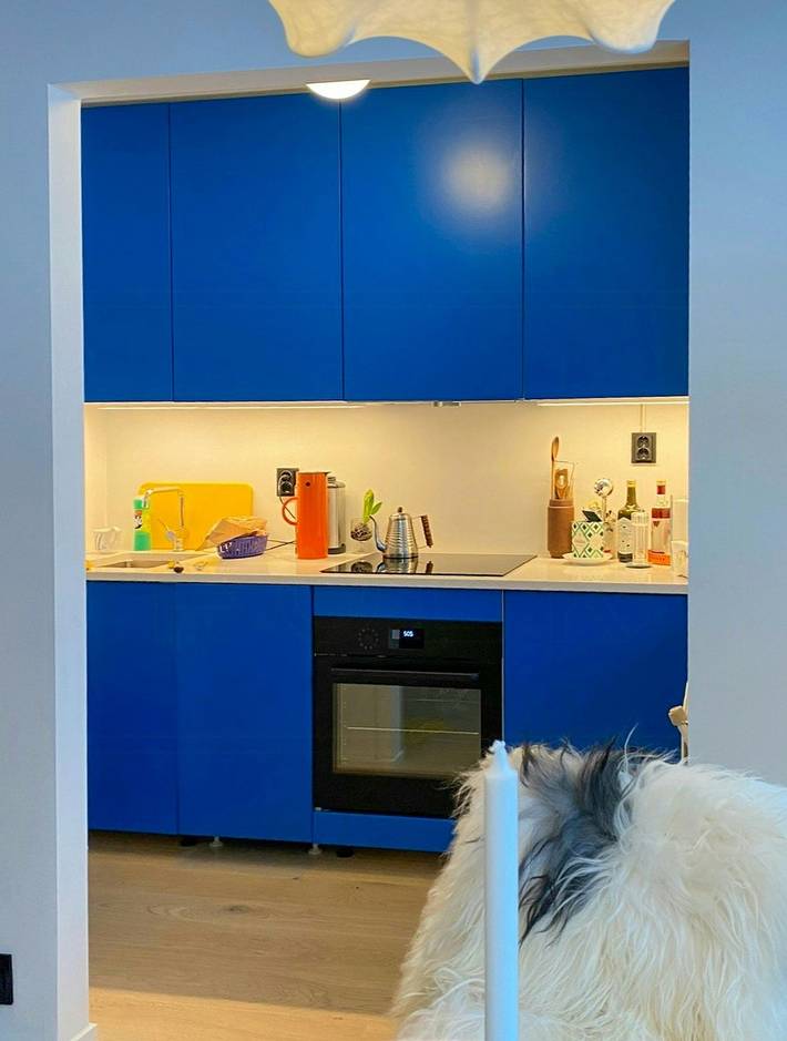 Apartamento entero, Estudio junto al río Akerselva, con obras de arte y una cascada in Sagene, Oslo