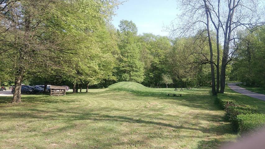 Gîte pour 4 personnes, animaux acceptés dans l' Aisne - 3