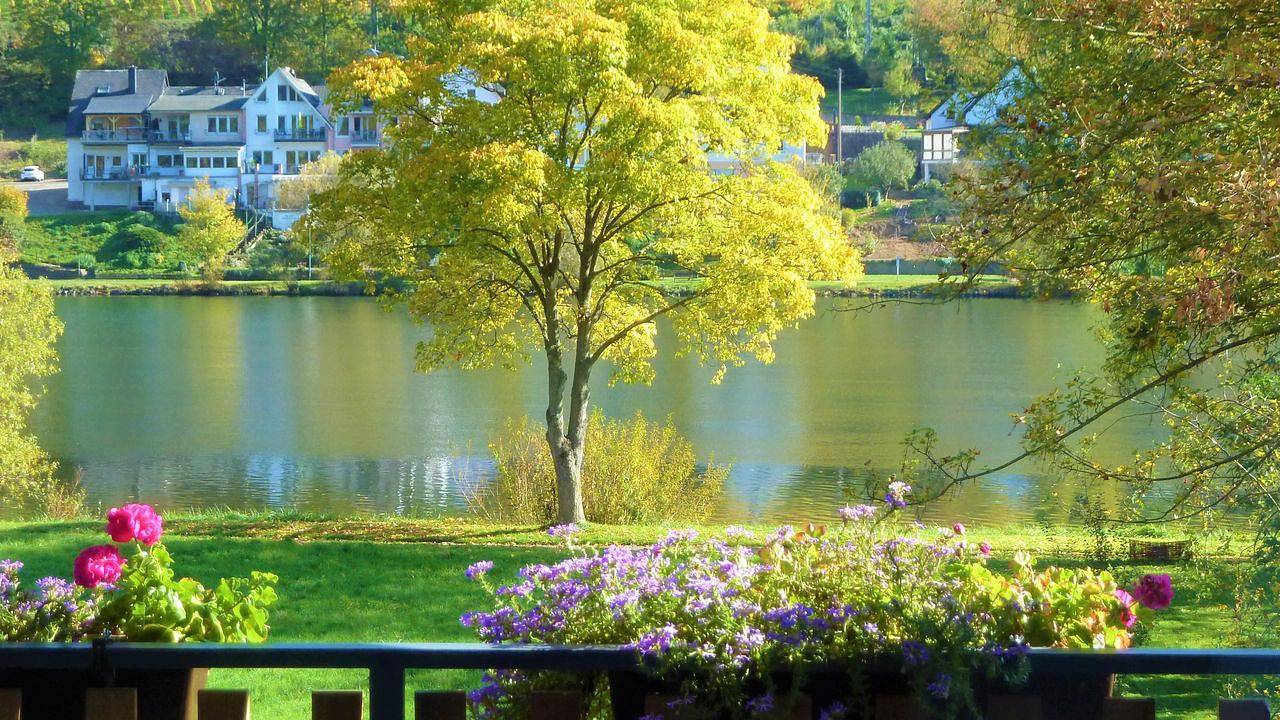 Location De Vacances pour 4 Personnes dans Alf, Moseleifel