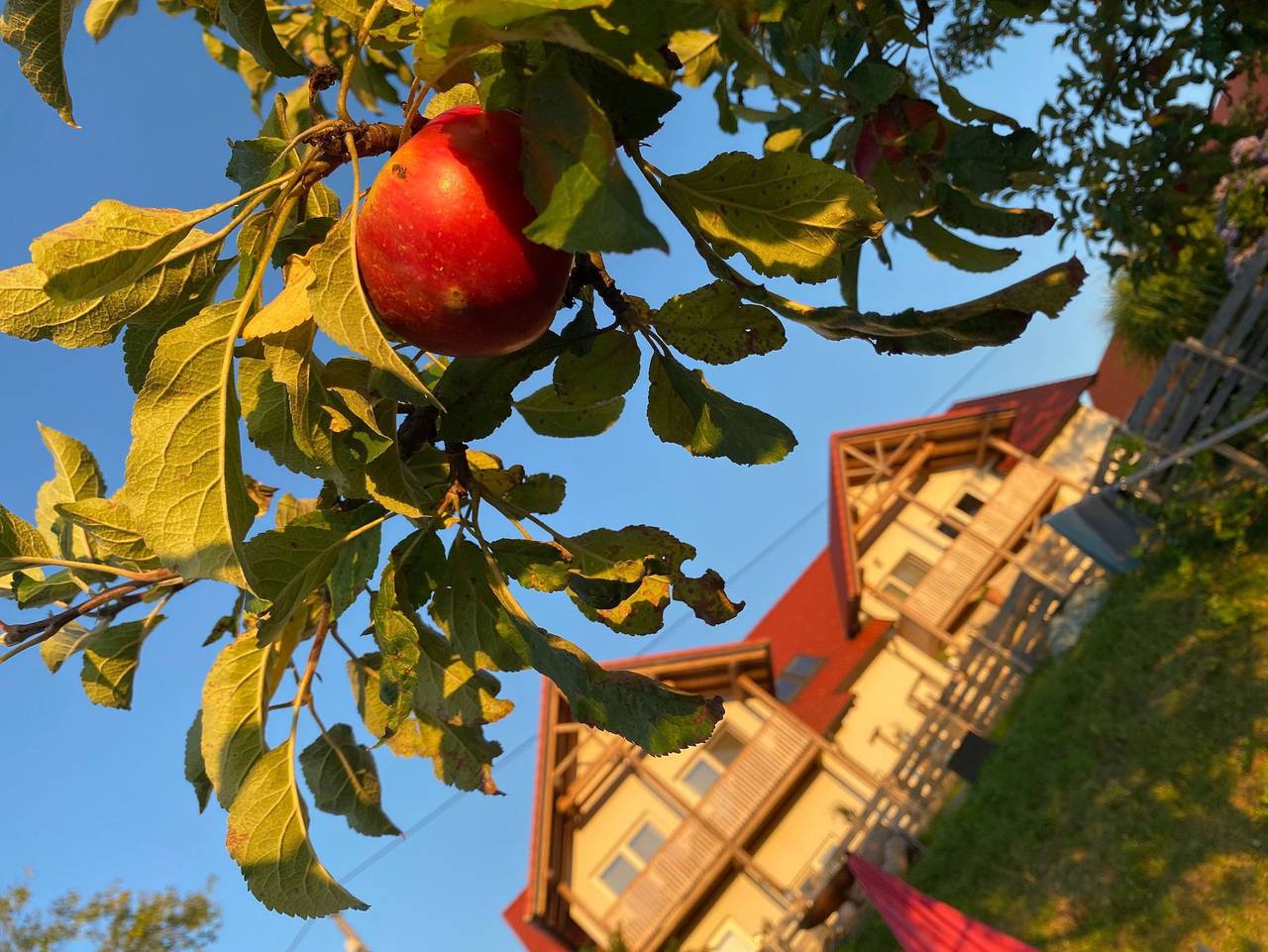 Fugger Alm - S - Das Kuschelige in Weichselbaum, Südburgenland