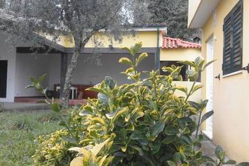 Casa De Férias para 4 Pessoas em Várzea, Aliviada e Folhada, Distrito do Porto, Foto 4