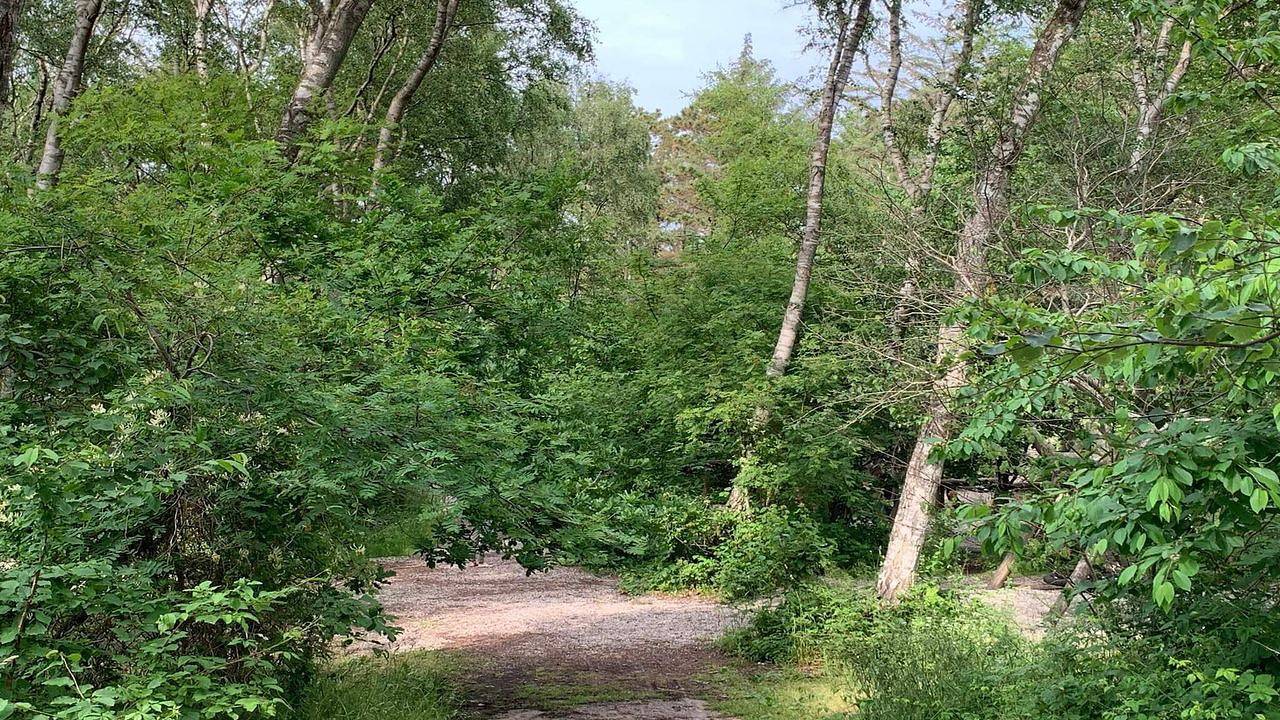 Ferienhaus für 12 Personen (173 m²) in Hundested in Hundested, Kattegat Küste