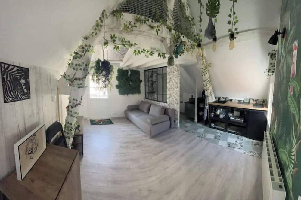 Apartamento entero, Atypical attic studio with exterior in Saint-Aignan, Región de Romorantin-Lanthenay