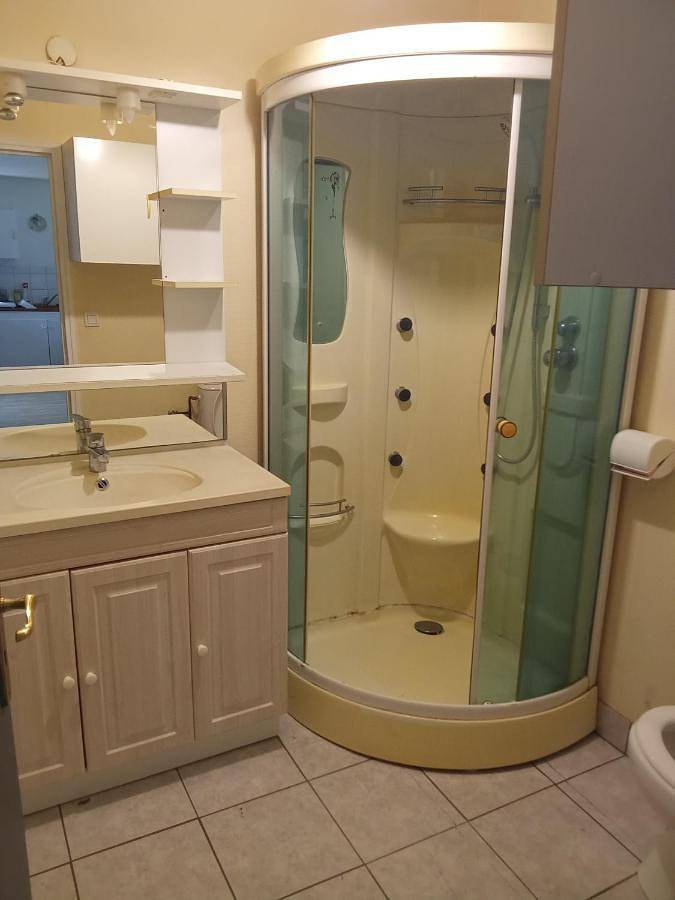 Gîte pour 3 personnes, avec vue, animaux acceptés à Laroquebrou - 4