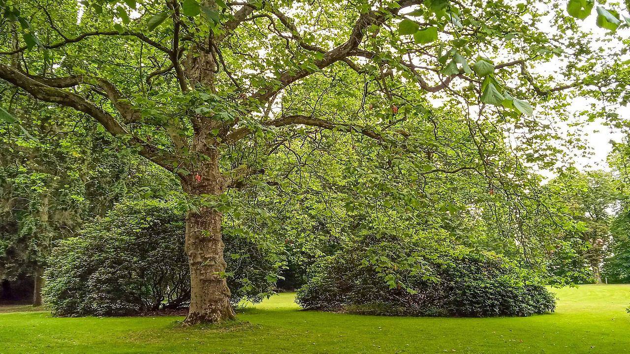 Ferienhaus für 4 Personen (39 m²) in Tønder in Tondern, Tondern und Umgebung