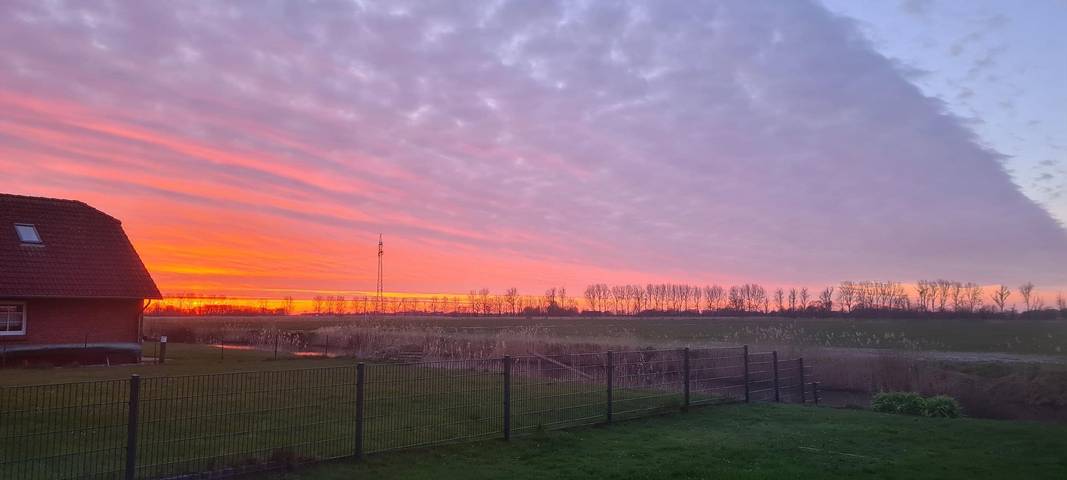 Ferienhaus für 6 Personen, mit Ausblick und Garten sowie Terrasse, mit Haustier in Krummhörn - 3