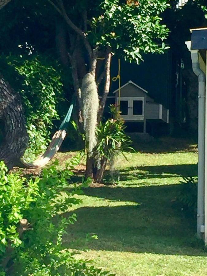 Location de vacances pour 6 personnes, avec jardin ainsi que piscine et vue à L'Étang-Salé - 4