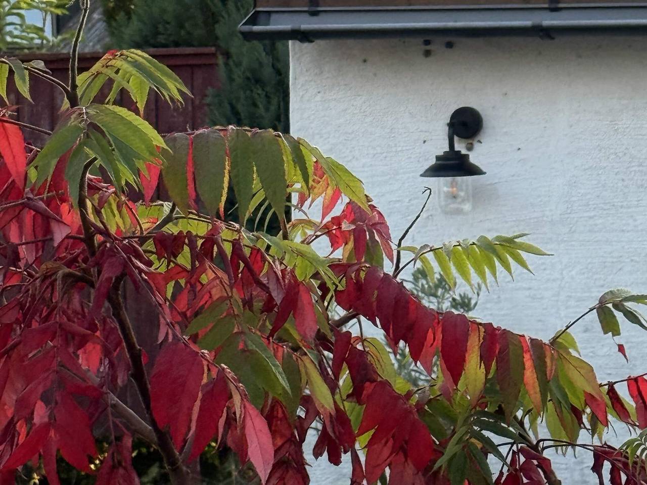 4 Sterne Ferienhaus in Borrby in Borrby, Österlen