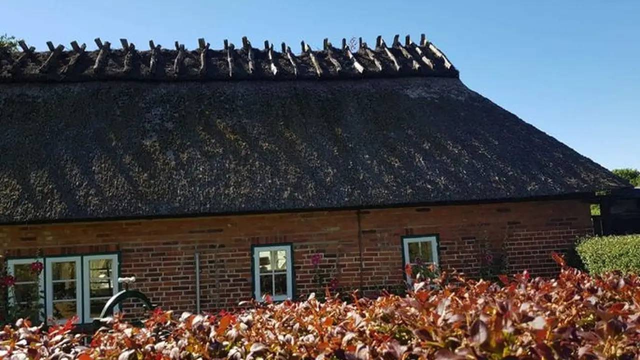 Ferienhaus für 4 Personen (70 m²) in Dollerup in Dollerup, Schleswig-Flensburg