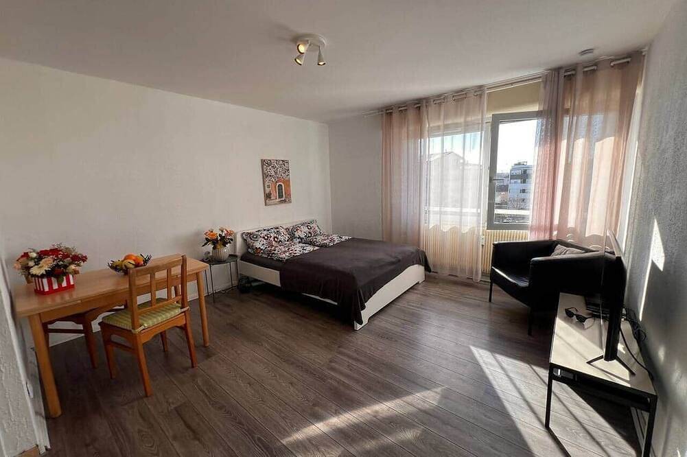 Appartamento intero, Charming Studio by the Rhine/ Ch/ Novartis Campus in Huningue, Mulhouse e dintorni