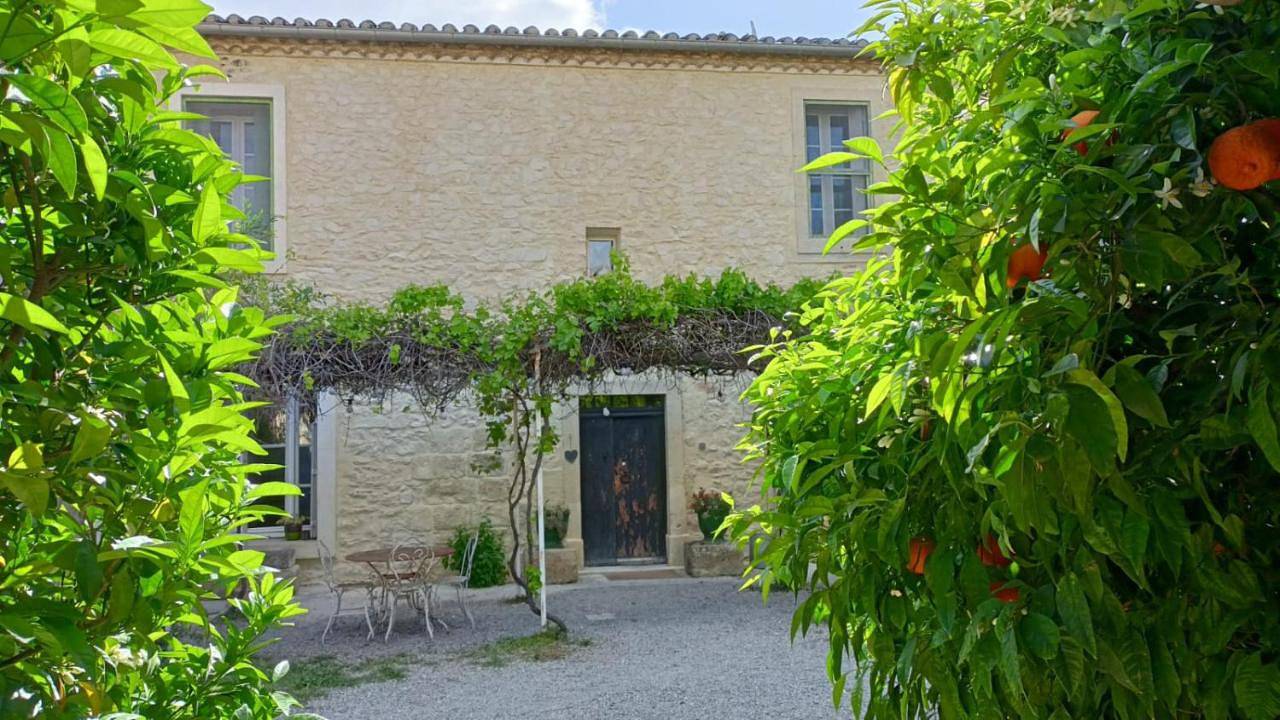 Seven-Bedroom House in Vergèze, Côte méditerranéenne (France)