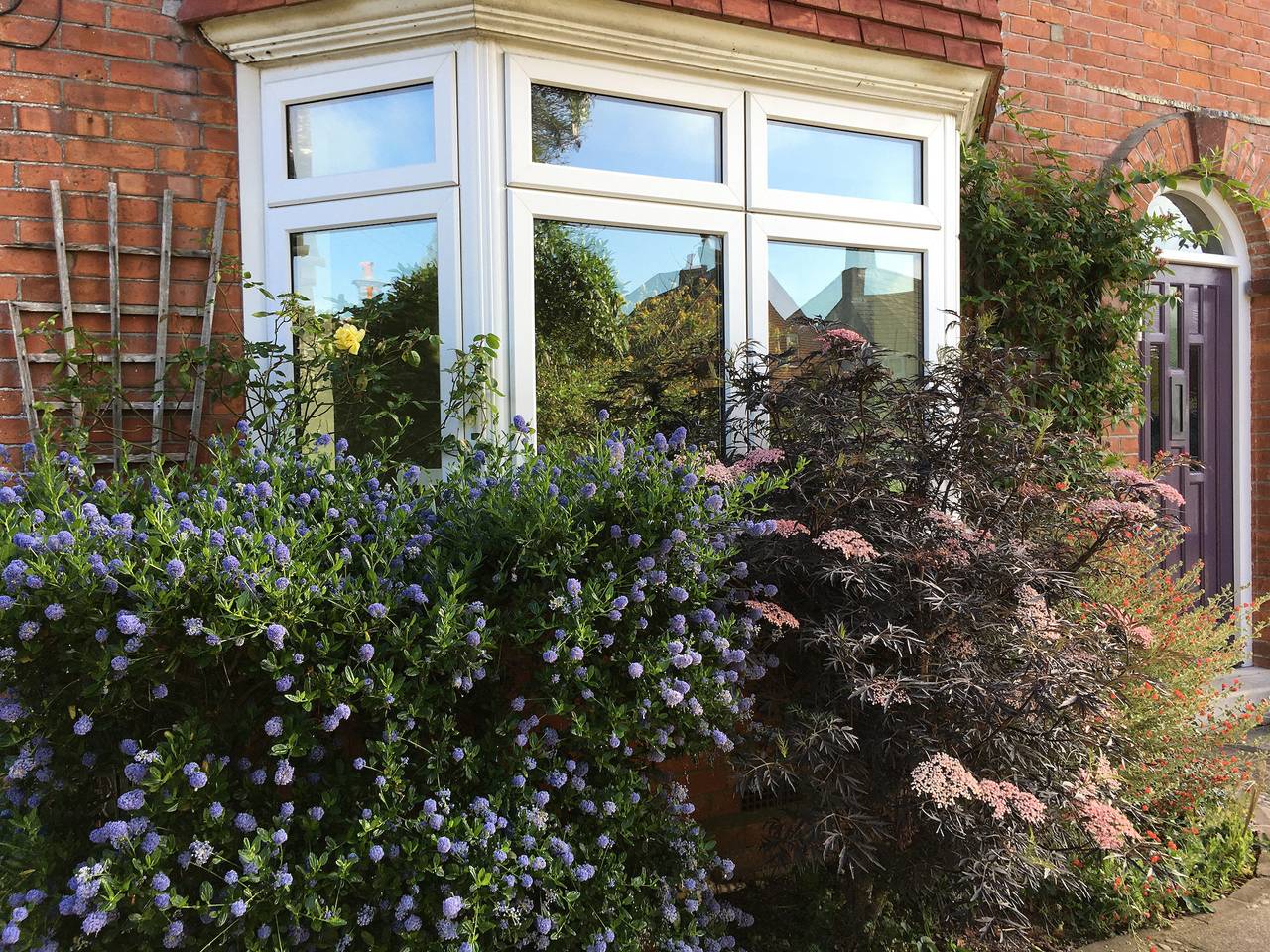 11 Beech Road in Dorset