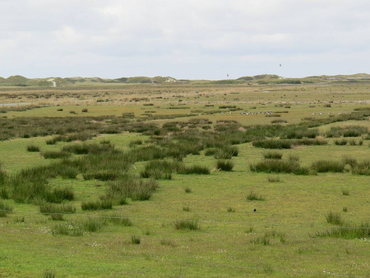 Ganze Ferienwohnung, Ferienwohnung Helene - Ferienwohnung Helene in Norddorf, Amrum