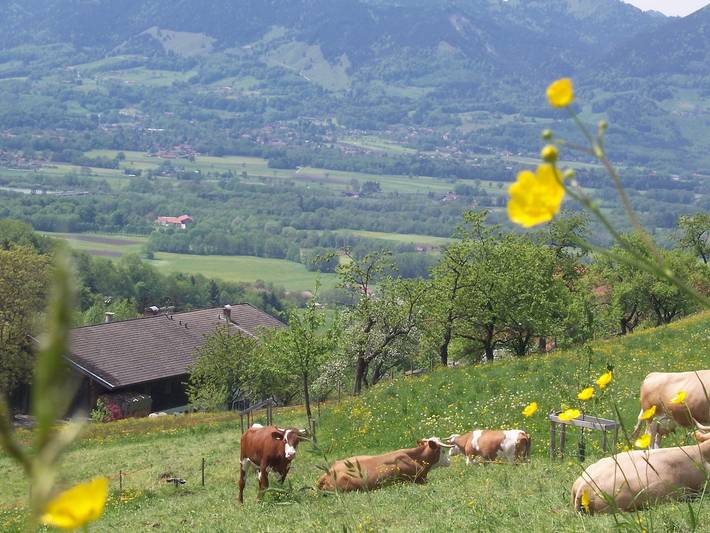 Ganze Ferienwohnung, Weberhof - Ferienwohnung Alpenpanorama wahlweise mit 1 oder 2 Schlafzimmer, Balkon, 60 qm in Samerberg, Bayerische Alpen