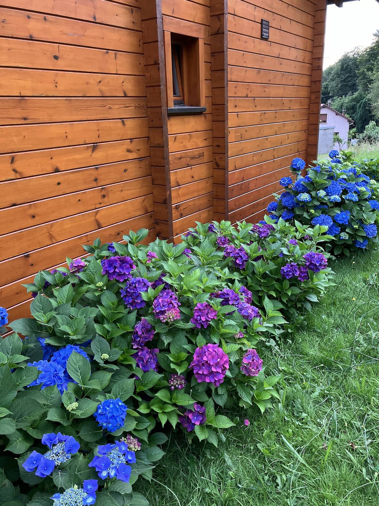 Chalet 3*** Les Hortensias Bleus - vue panoramique (alt. 600 m) in Basse-sur-le-Rupt, Parc naturel régional des Ballons des Vosges