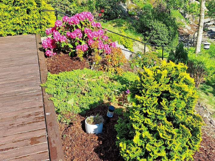 Ferienhaus für 8 Personen, mit Terrasse, mit Haustier in Lyngdal - 4