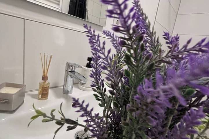 Ferienwohnung für 3 Personen, mit Haustier in Ibbenbüren - 4