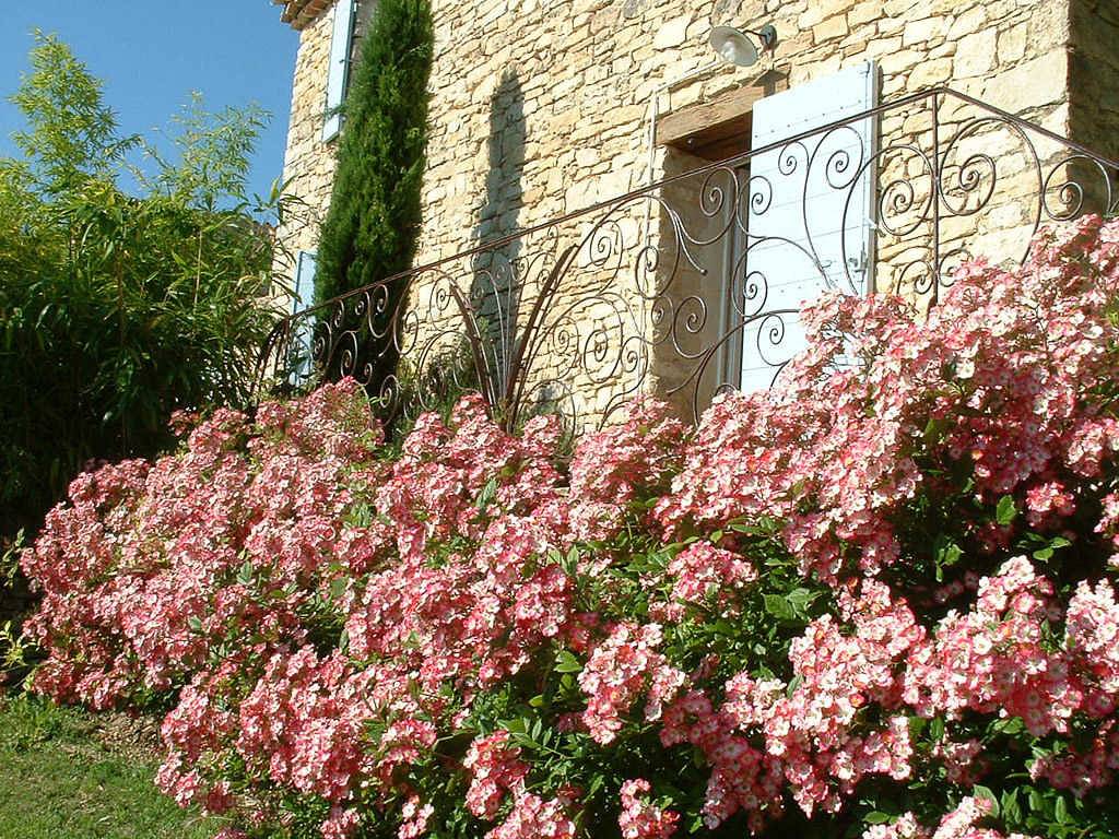 Marronnier in Vachères, Regionaler Naturpark Luberon