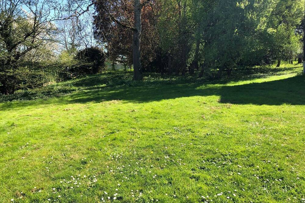 Location de charme avec parc et bois d'1 ha in Beaulieu-sur-Loire, Région de Montargis