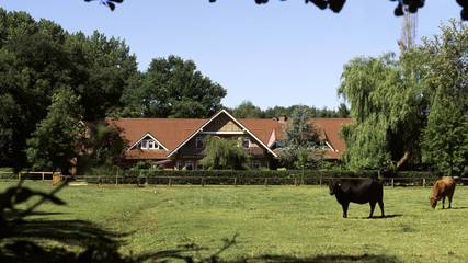 Ferienwohnung für 10 Personen, mit Terrasse und Garten in Uelsen
