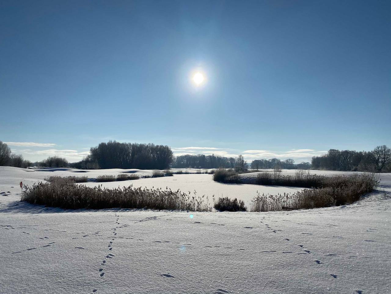 Ganze Ferienwohnung, Ferienhäuschen am Fleesensee - Ferienhäuschen am Fleesensee in Göhren-Lebbin, Fleesensee