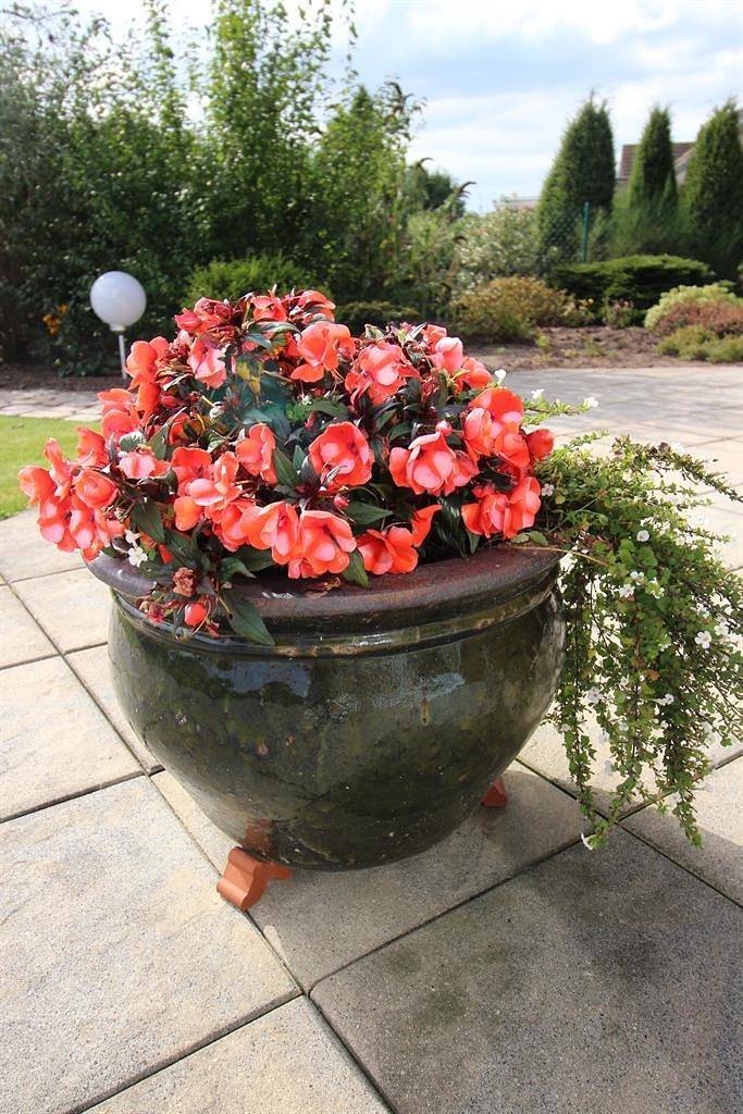 Ferienwohnung für 2 Personen, mit Garten und Balkon in Garding - 3